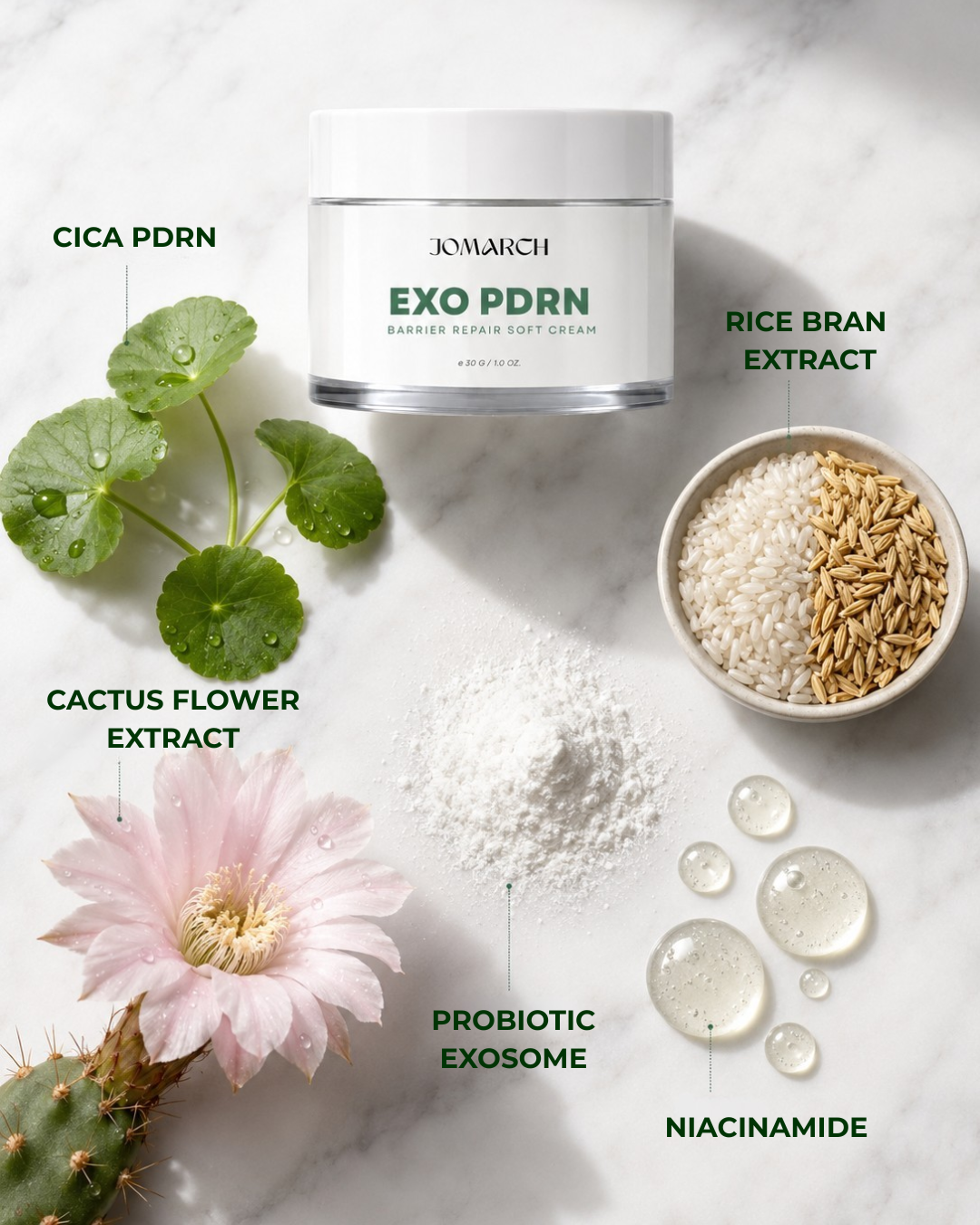 EXO PDRN BARRIER REPAIR SOFT CREAM